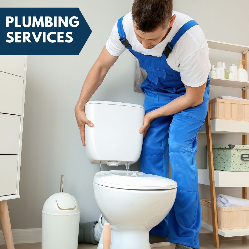 Plumbing Company in Leroy, MI
